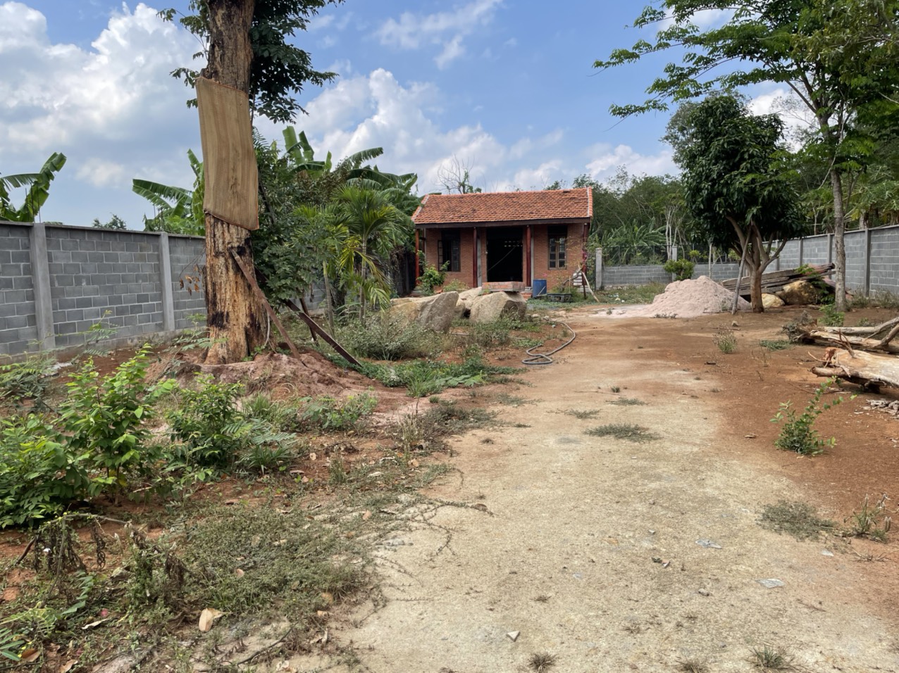 z3310057240040_07a22f50422e3ce69a0d685e8e6e809c