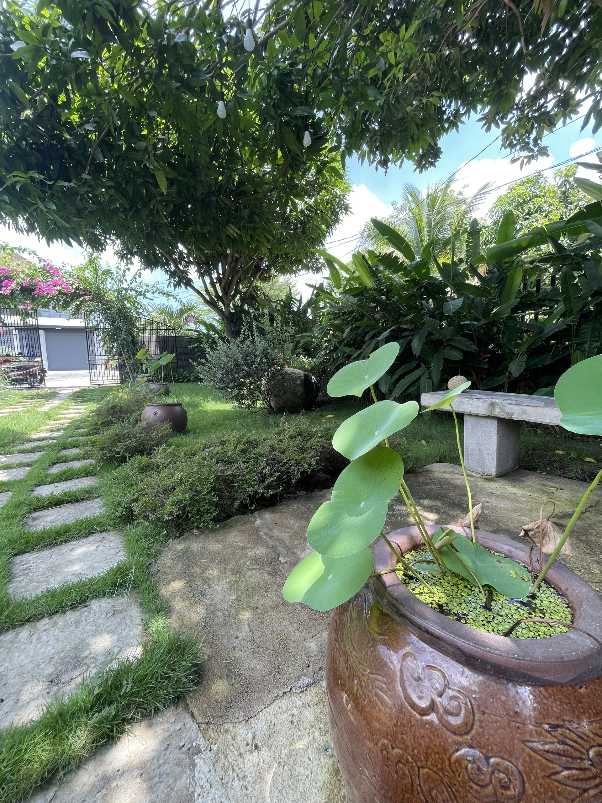 z3443519995787_089e540c717803e0a66692afec39ee7c