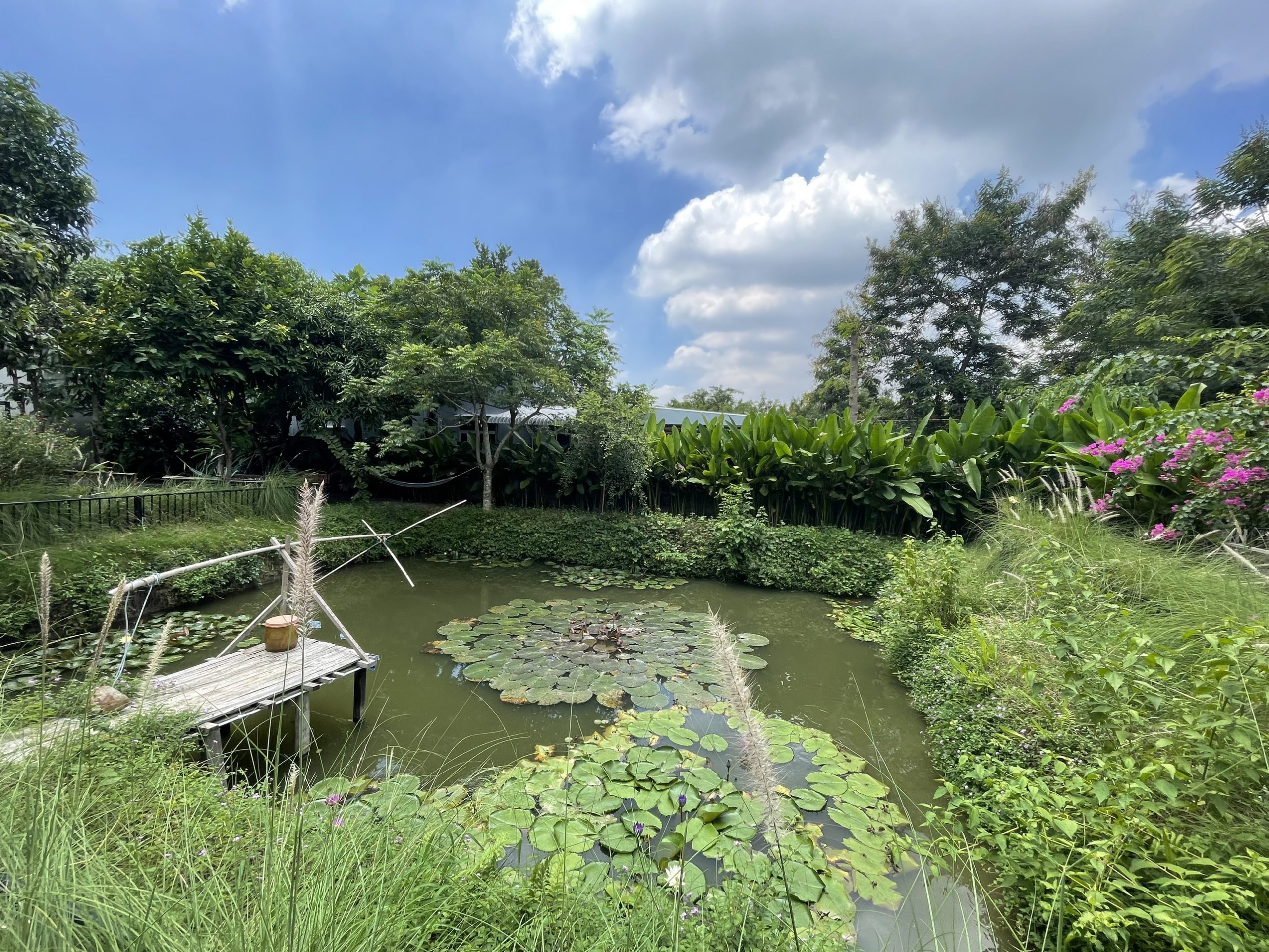 z3443520070532_53f59d1ff11f6a3032def870617c98ac