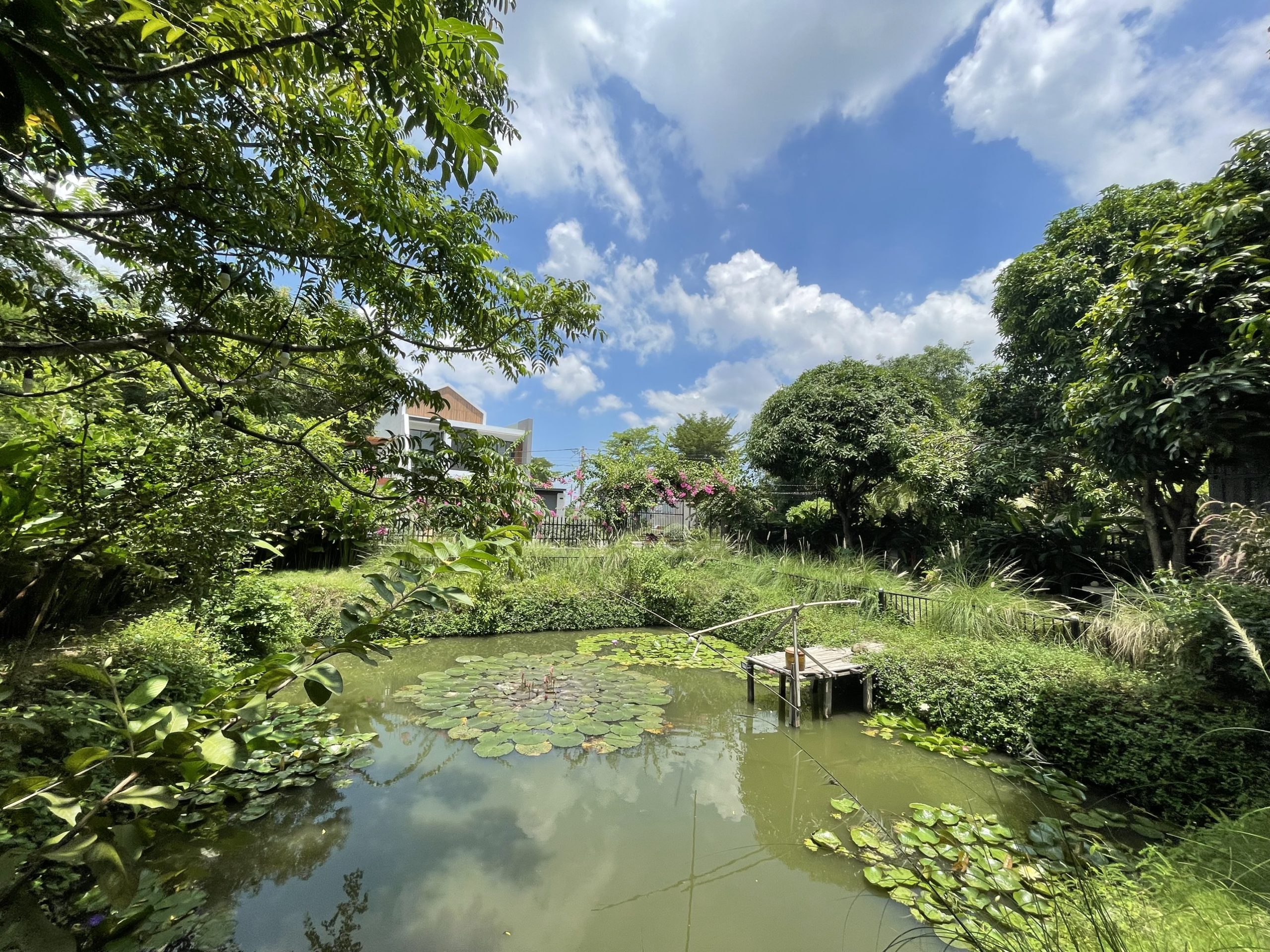 z3443520196823_7e74489756f535ff6983d3dd75a52447