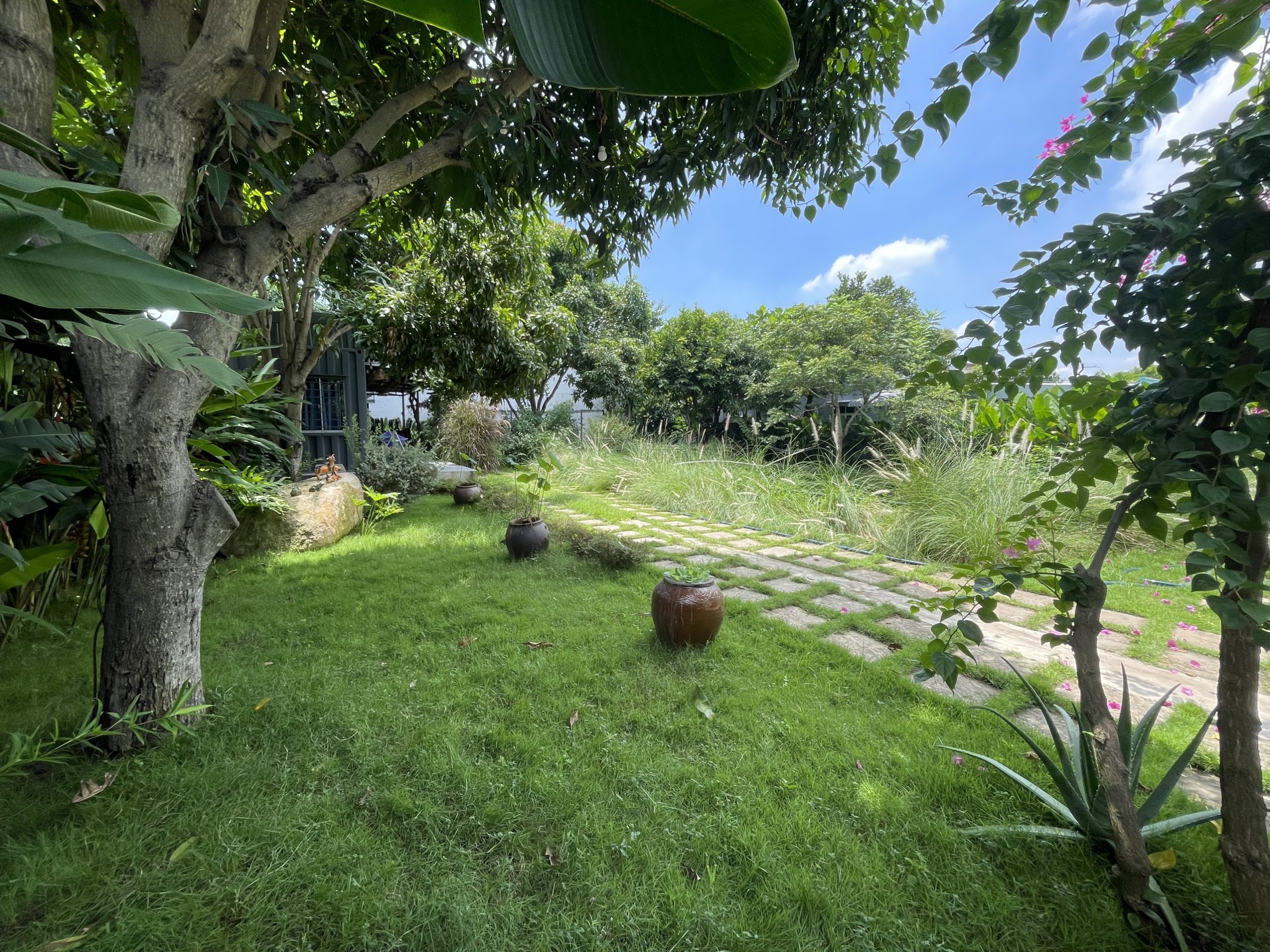 z3443520233088_d3f39775bf35d1184f18ecc2cd329ba2