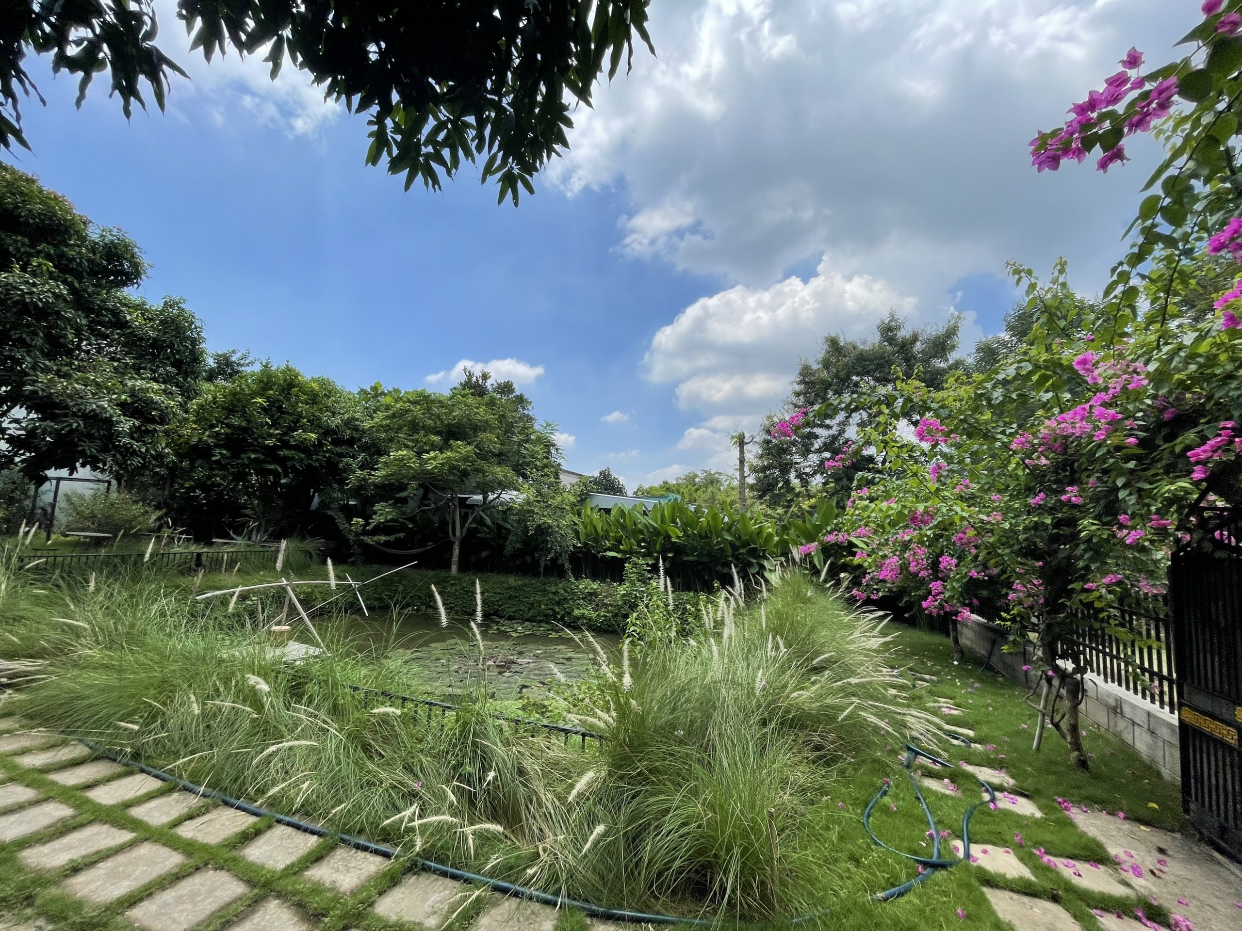 z3443520267449_6f2c3fc7a37136c3b606fe2472a66e6e