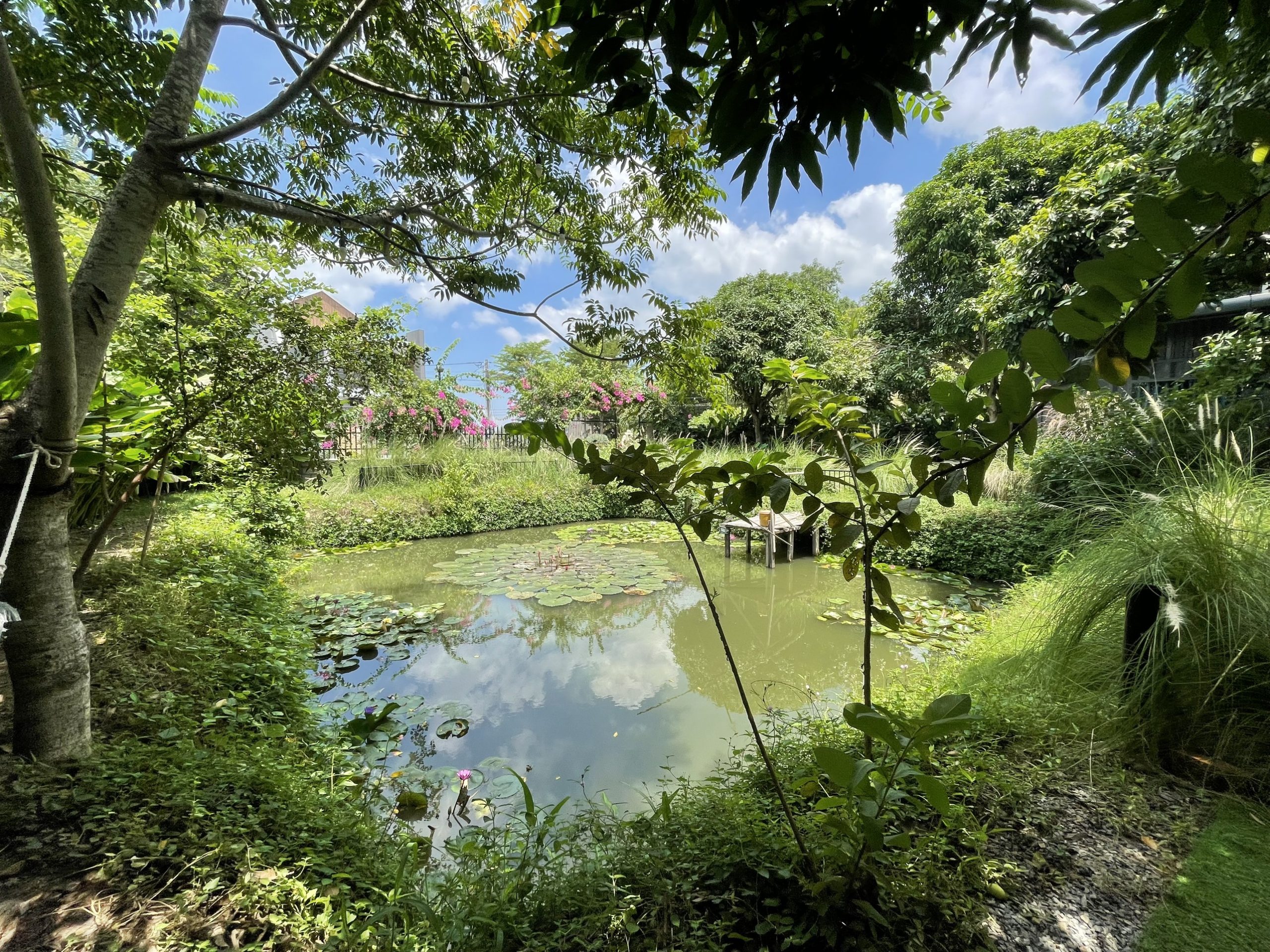 z3443520339510_e542ccc440371c859fa69e4ddd96e5de