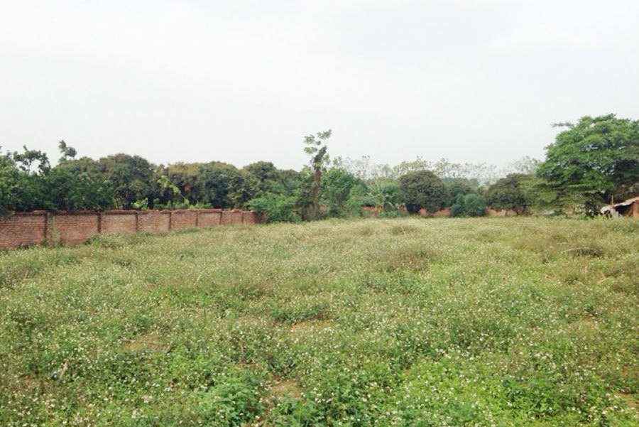 Lựa chọn đơn vị môi giới bất động sản Bà Rịa Vũng Tàu uy tín tại Việt Nam