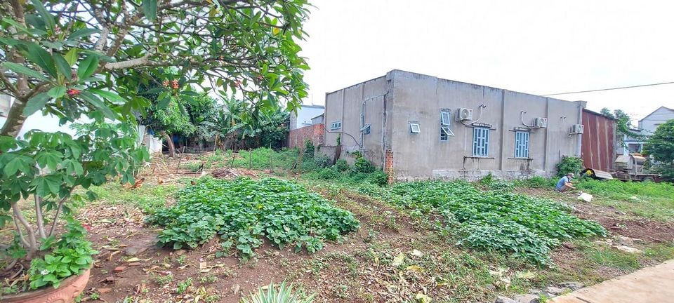 Thị trường mua bán đất Châu Đức