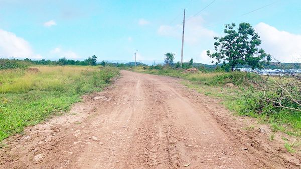 Kinh nghiệm mua bán đất nông nghiệp Huyện Châu Đức, Bà Rịa - Vũng Tàu