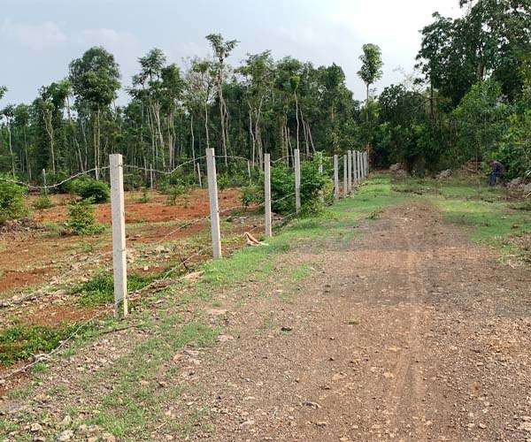 Bán đất vườn Huyện Châu Đức, Bà Rịa - Vũng Tàu chính chủ