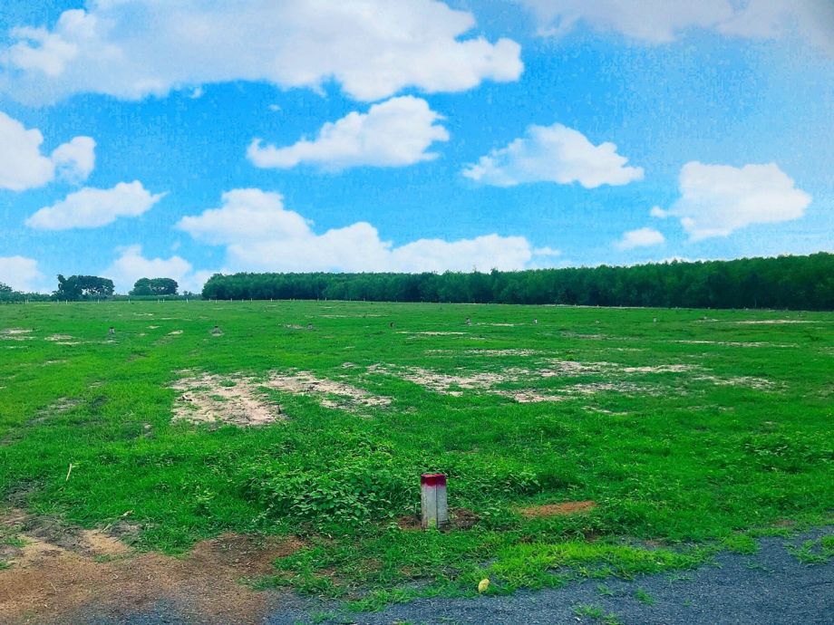 Đặc điểm vị trí địa lý huyện Đất Đỏ